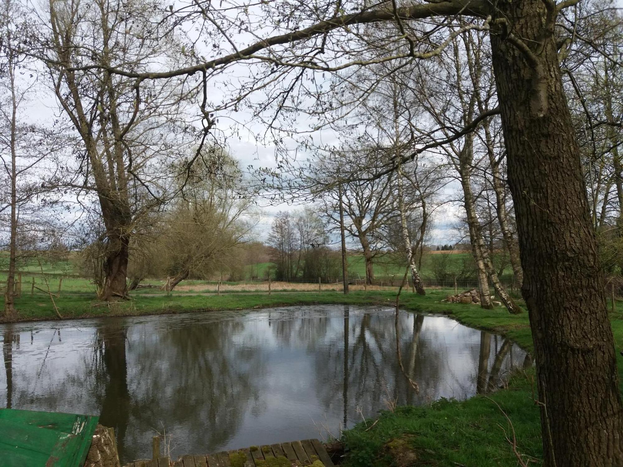 Le Sentier Des Etangs Apartment Barsy ภายนอก รูปภาพ
